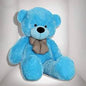 Teddy 09701449